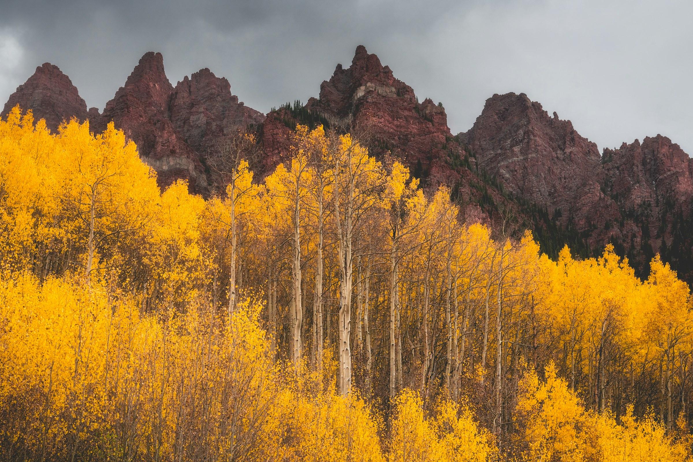 Golden aspen forest below a rugged mountain range